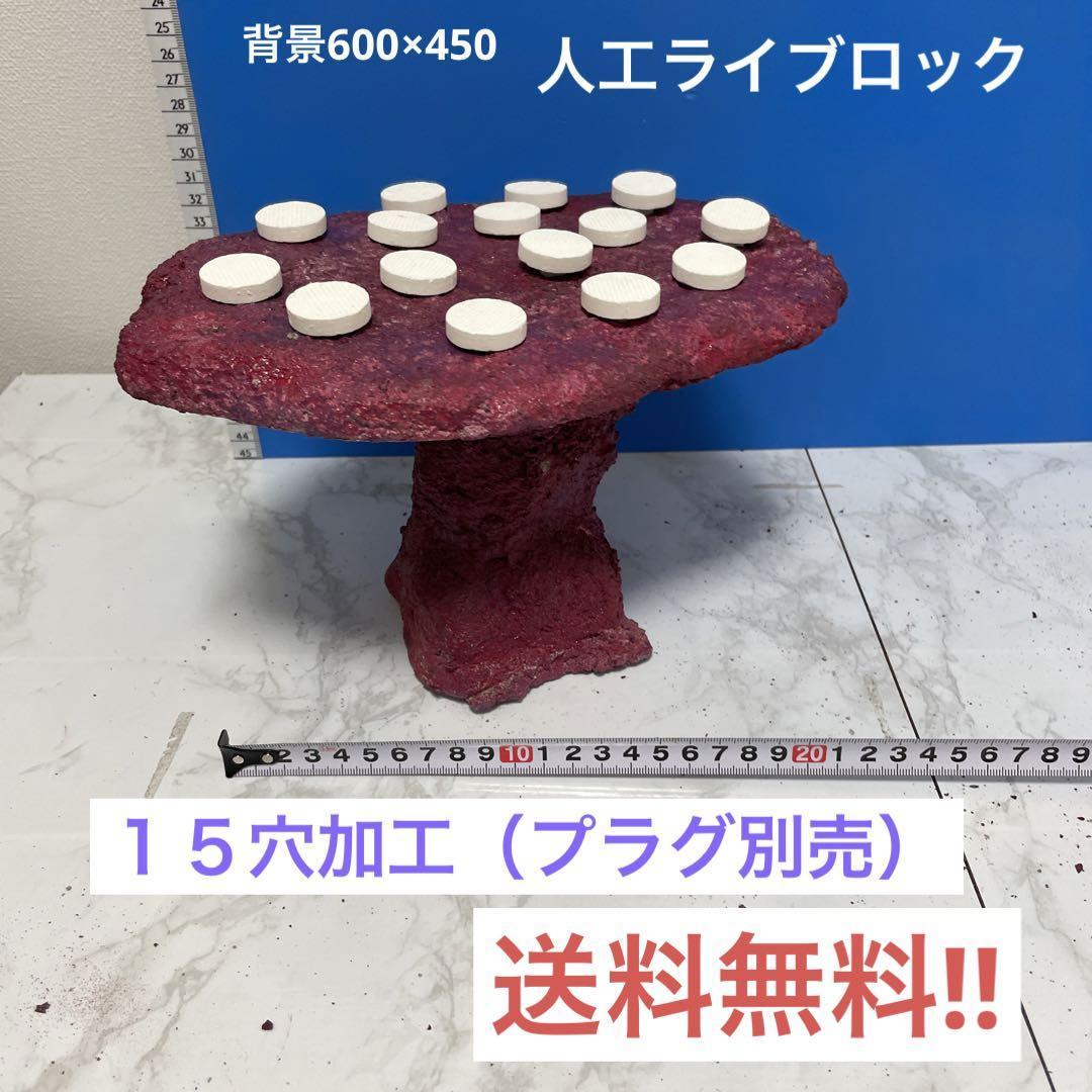 人工ライブロック 人工 Aquarium TALLMAN | アクアリウムトールマンで