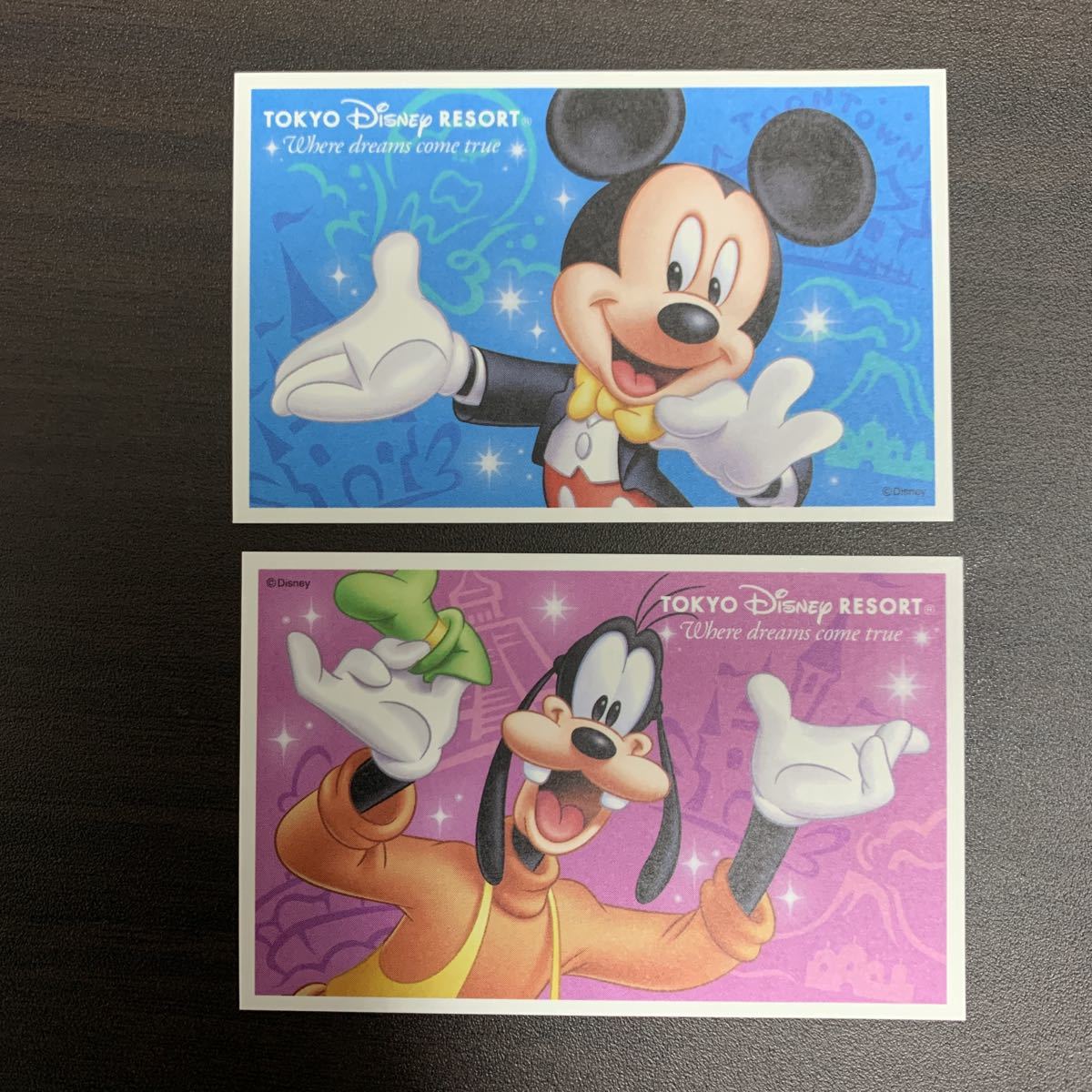 東京ディズニーリゾート スポンサーパスポート　チケット2枚