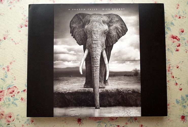 12349/ニック・ブラント 写真集 Nick Brandt Shadow Falls 2009年 初版