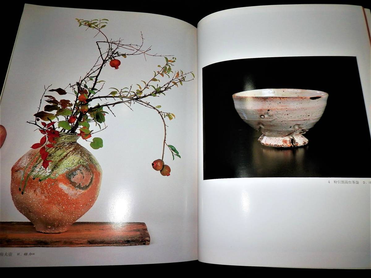 ○図録/辻村史朗/大壺.茶碗.水指.俎板皿.四方皿.花器.蹲.掛花入.自然釉 