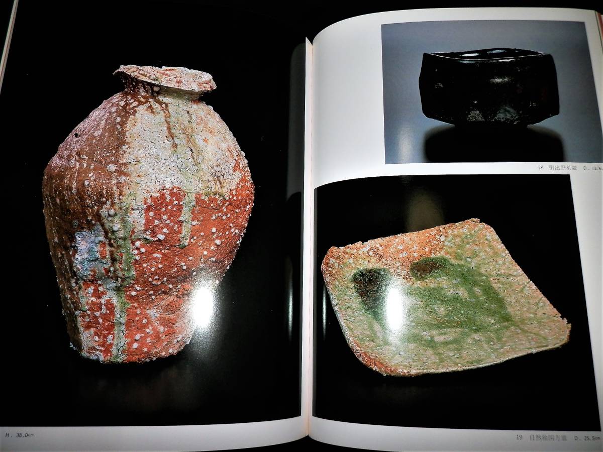 ○図録/辻村史朗/大壺.茶碗.水指.俎板皿.四方皿.花器.蹲.掛花入.自然釉 