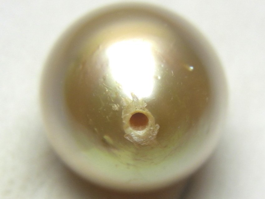 Shimoe]最落無し！1円～11．1mm 南洋ゴールデンパールルース