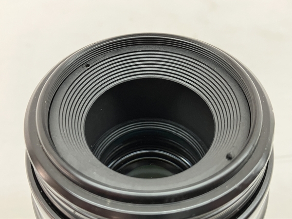 Canon MACRO LENS EF 100mm F:2.8 レンズ キヤノン マクロ カメラ 中古