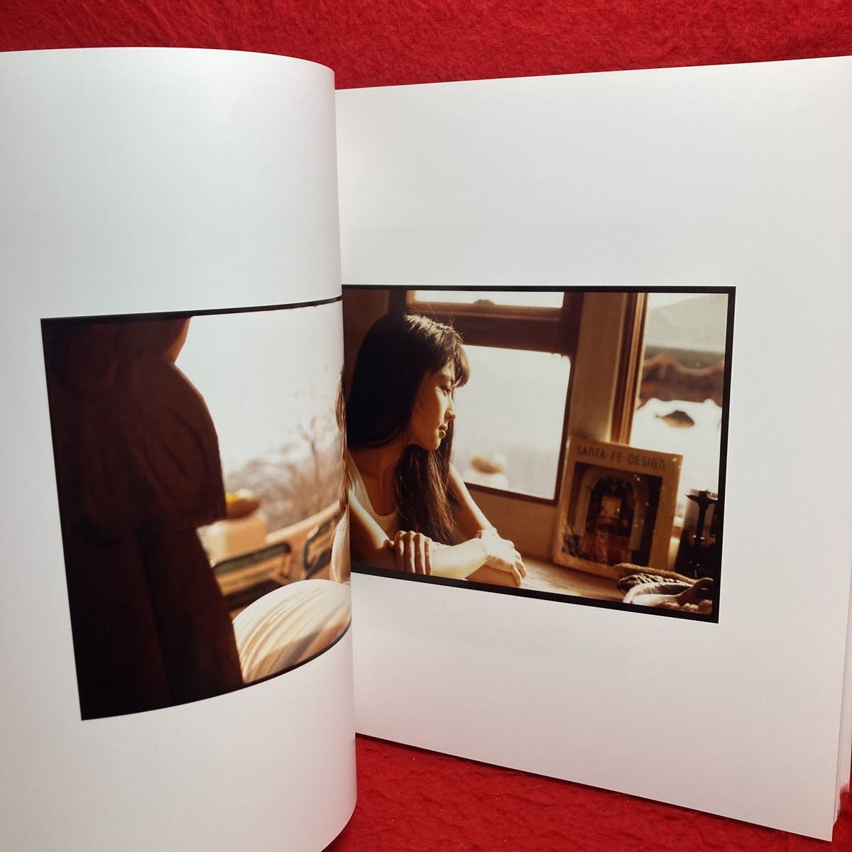○ZARD ザード 坂井泉水 15周年 Le Portfolio ル・ポルトフォリオ 写真