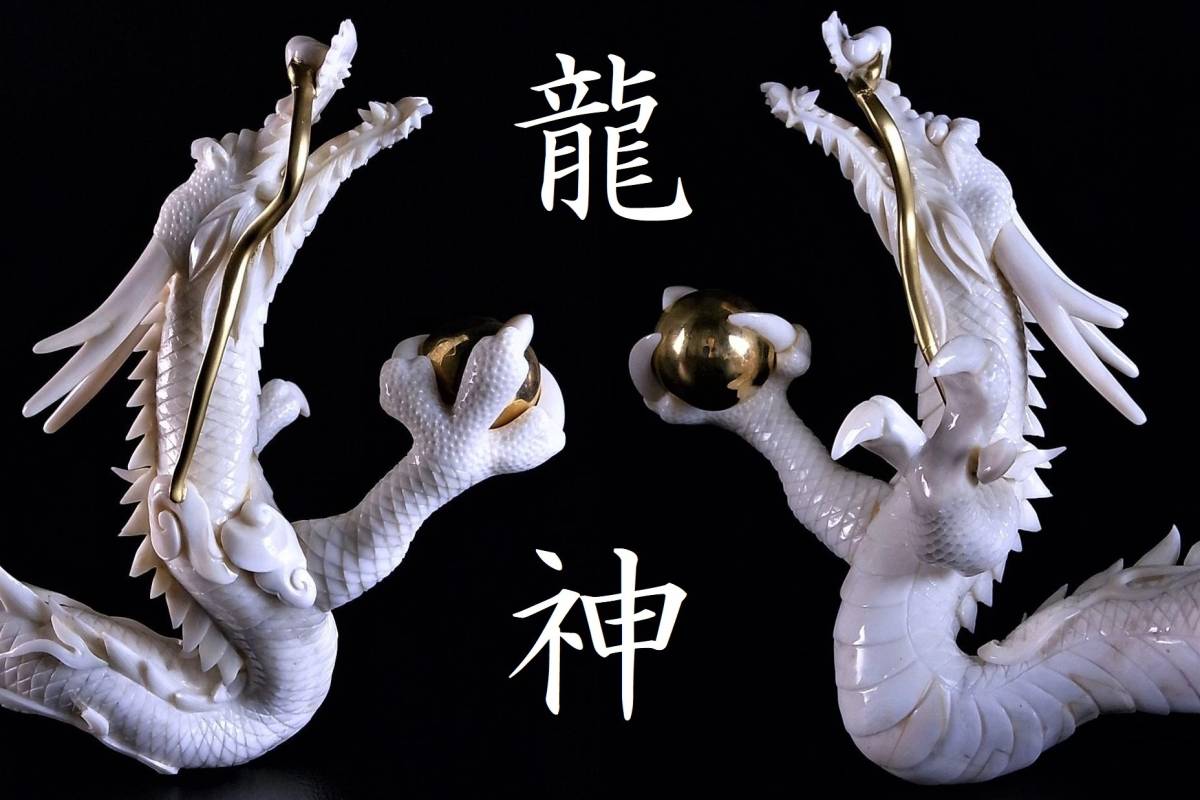 土佐珊瑚名作展 受賞 上地上令 謹作 極太 天然白珊瑚 白龍