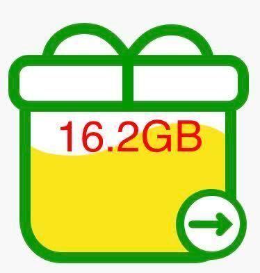 マイネオ パケットギフト 16.2GB .._1