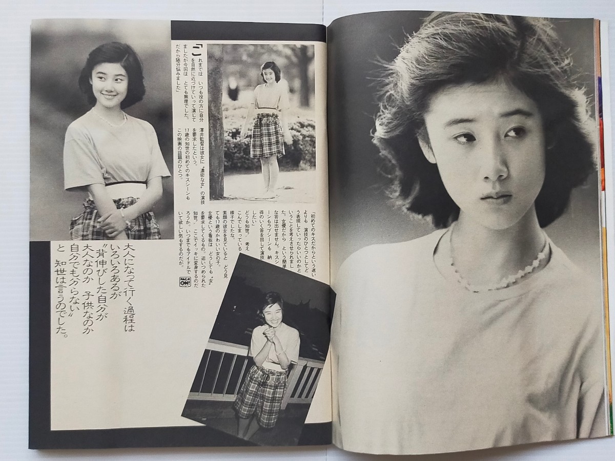 プレイボーイ 1985年No.27/本田美奈子ピンナップポスター/辻沢杏子