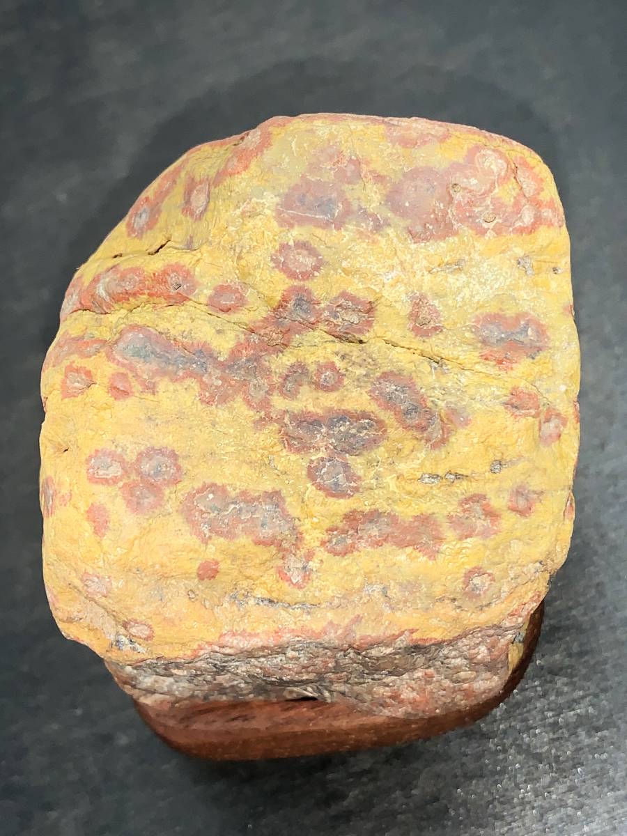 菊花石 水石 桜石 鑑賞石 - ☆ | 総重量約8.7 高約25cm