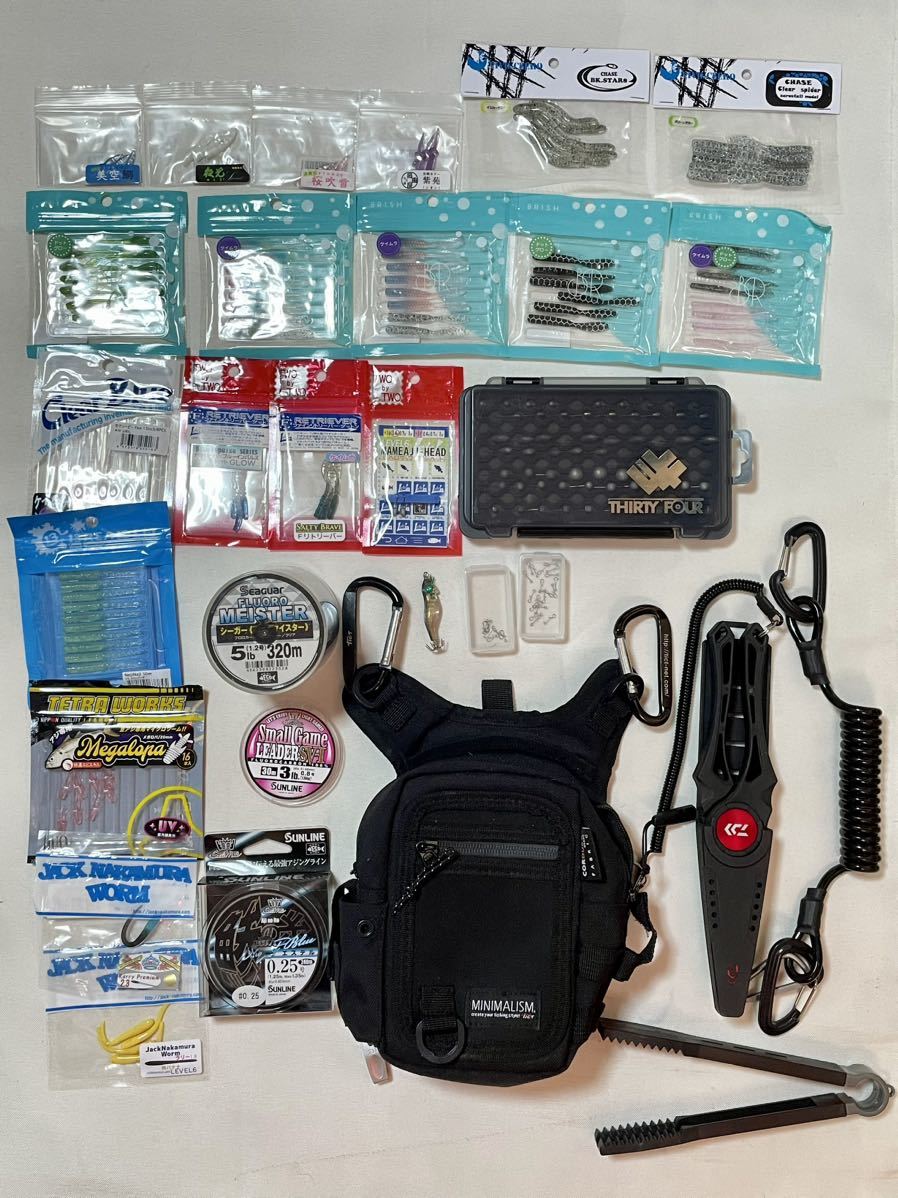 アジング ワーム ジグヘッド タックル フィッシュクリップ ライン セット DAIWA tictアジングセット マイクロジグヘッド サーティーフォー