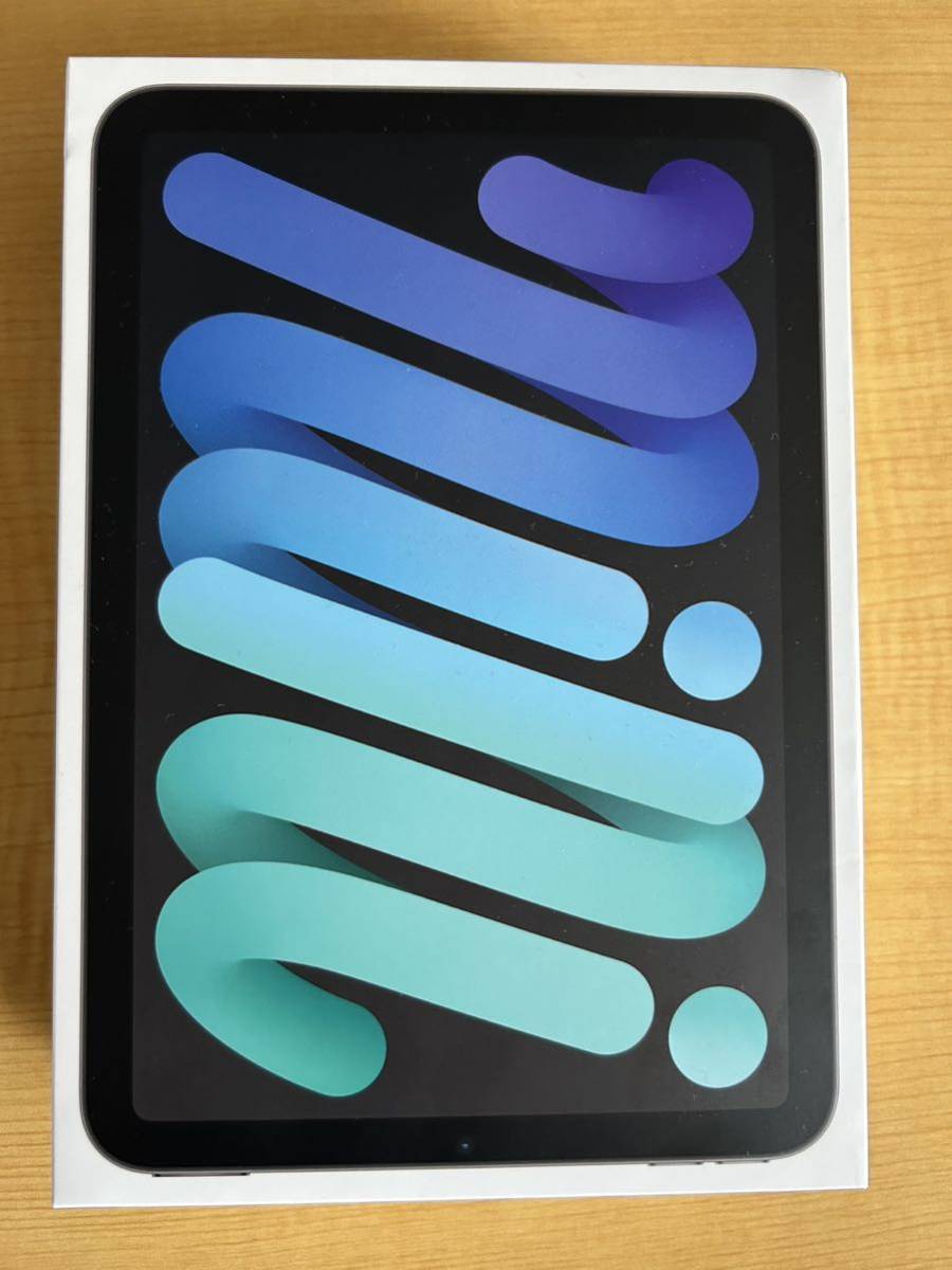 Apple iPad mini 6 256G Wi-Fi Cellular スペースグレイ SIMフリー