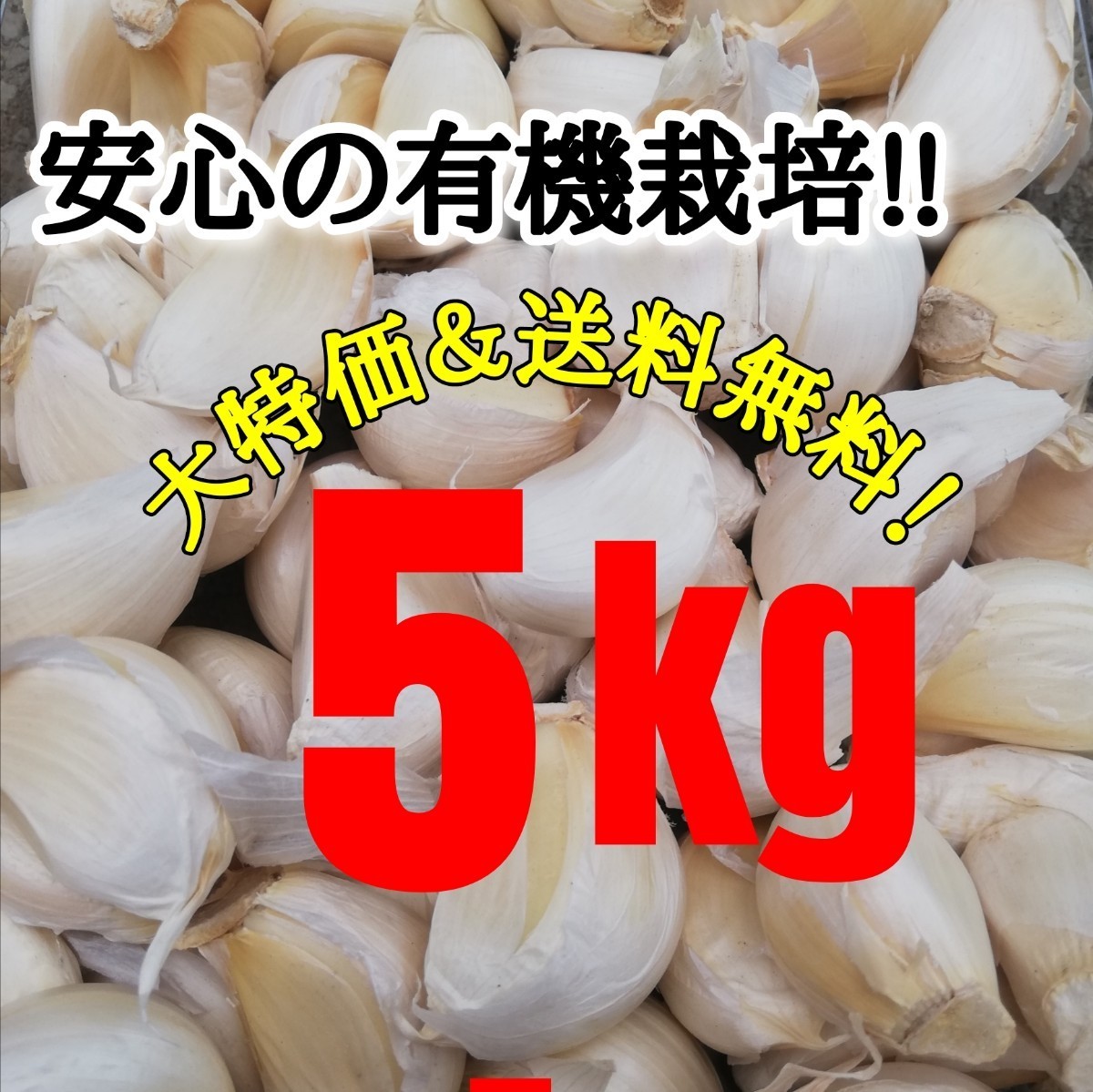 送料無料】 2022年産 無農薬 バラニンニク 5kg ニンニク 5キロ