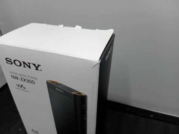 Sony NW-ZX300 Walkman® High-resolution portable digital music