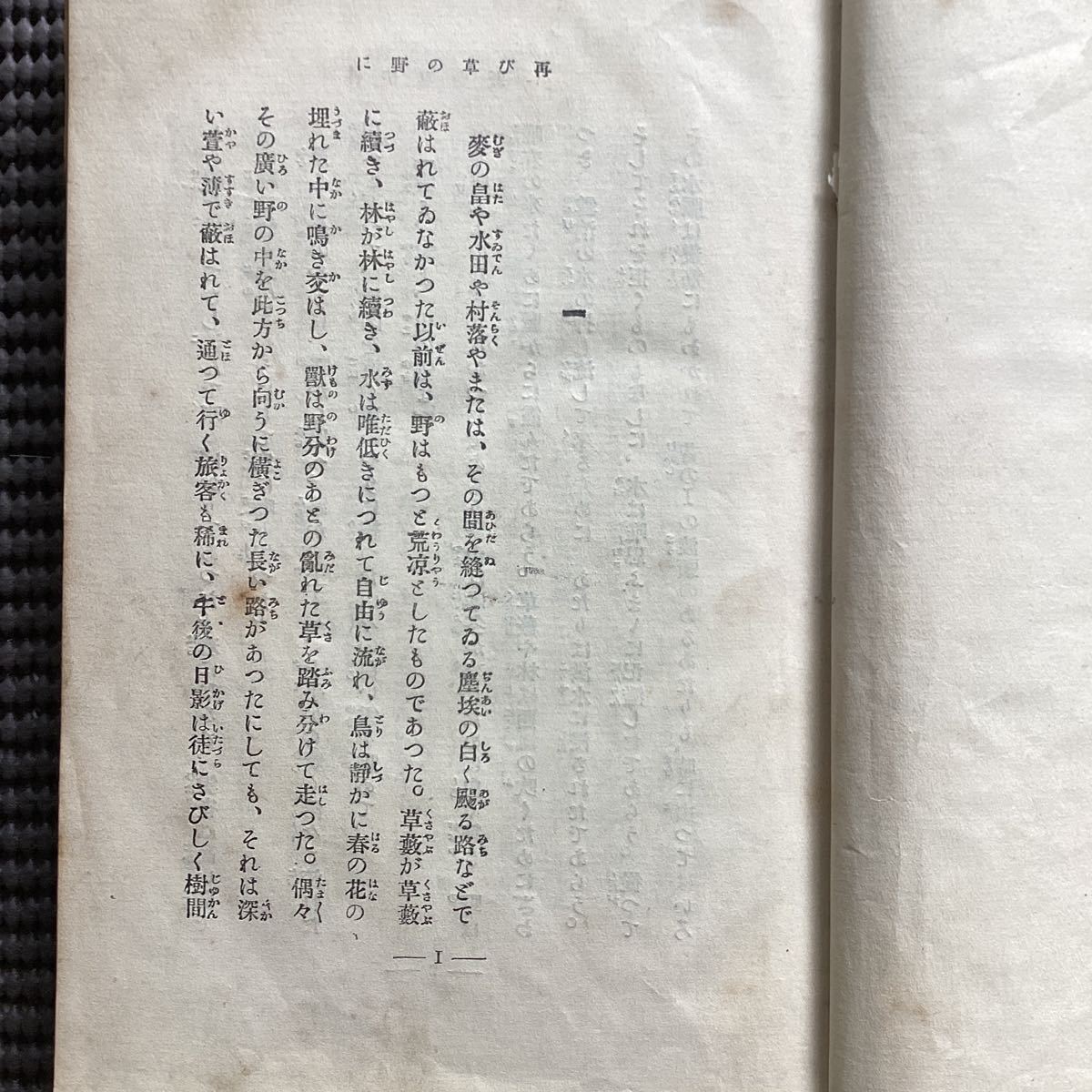 田山花袋の傑作小説【再び野乃草に】大正8☆島崎藤村国木田独歩柳田
