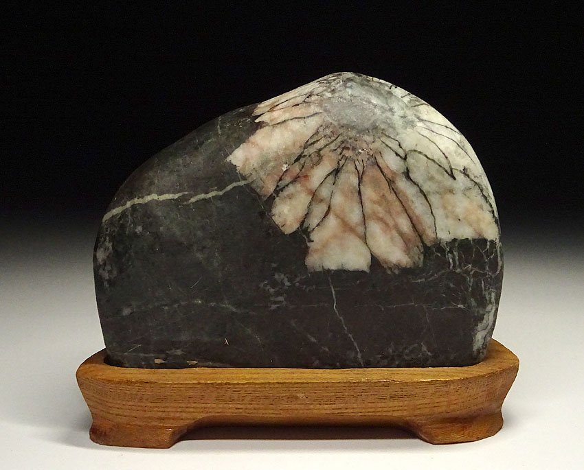 緑屋zc□ 天然石 菊花石 台付 鑑賞石 i9/3-6628/30-8#