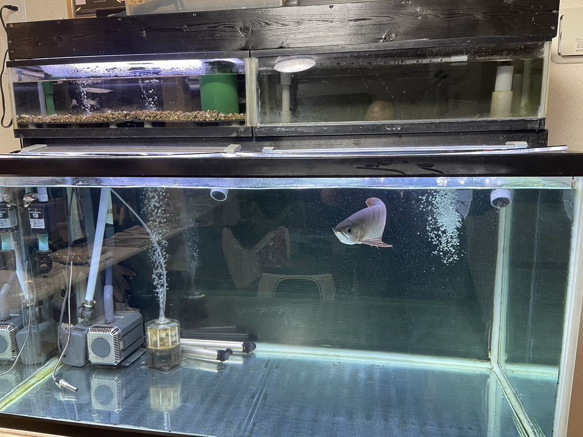 引き取り限定】ガラス 120cm水槽 セット 120㌢ガラス水槽☆フルセット