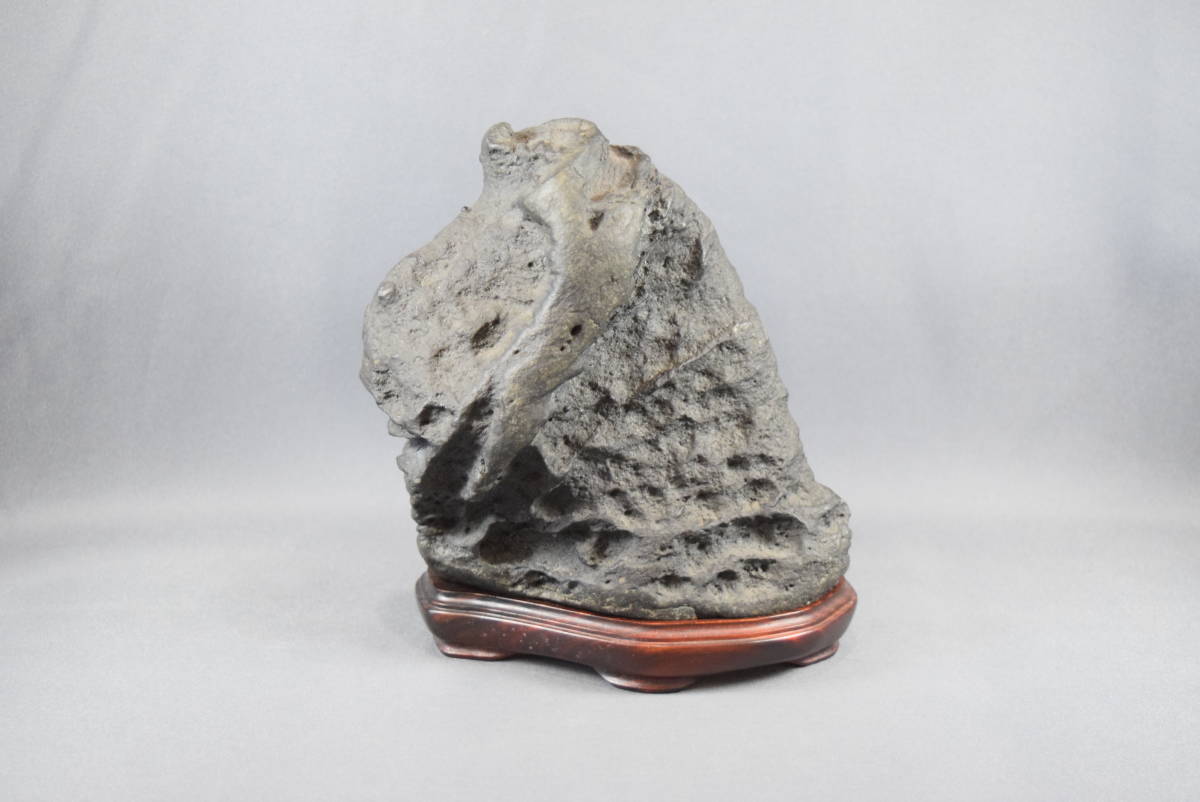 s1078503005.1