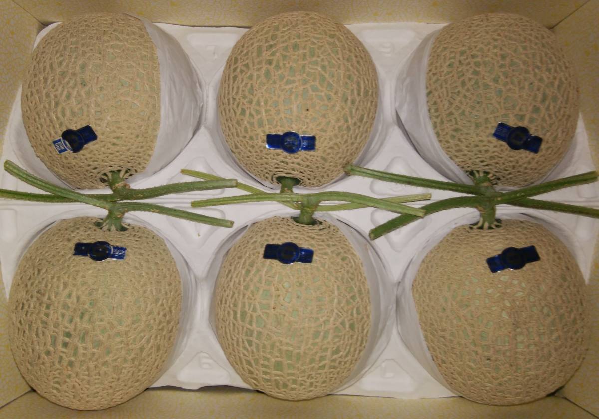 高知県産＞ 温室メロン 6玉 約7.0kg～7.3kg 1円～高知県
