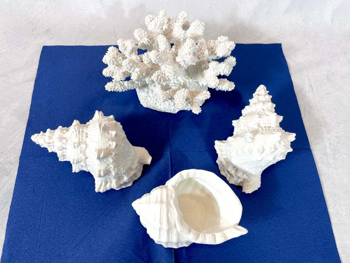 TS4245_Ts◇モデルR展示品◇インテリア雑貨◇サンゴ礁と巻貝のオブジェ  