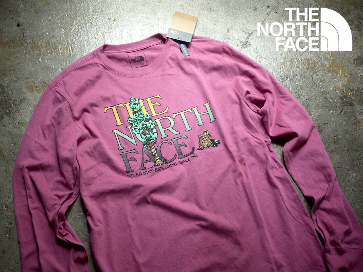 US購入 新品 M/ノースフェイス グラフィックプリント ロンT 長袖 Tシャツ THE NORTH FACE LS GI TEE REDVIOLT / 5