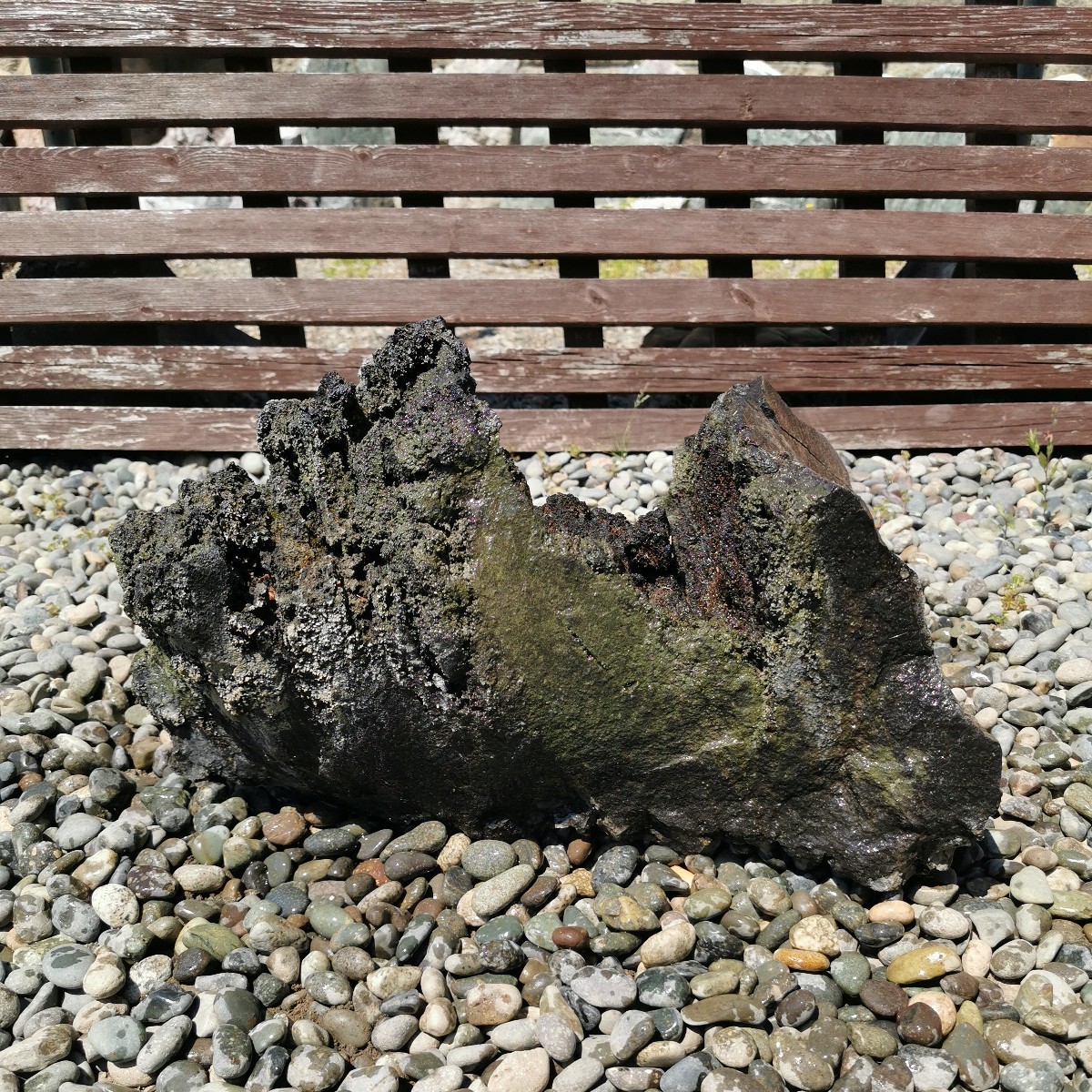 浅間溶岩石24.1キロ 庭石鑑賞石石盆石水石灯籠庭坪庭盆栽ガーデニング 