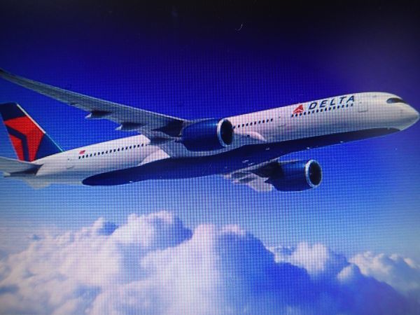 爆買い，新作 デルタ航空 DELTA スカイマイル 30 000マイル 移行 手数料込み(優待券、割引券)｜売買されたオークション情報、yahooの商品情報をアーカイブ公開 - オークファン 優待券、割引券