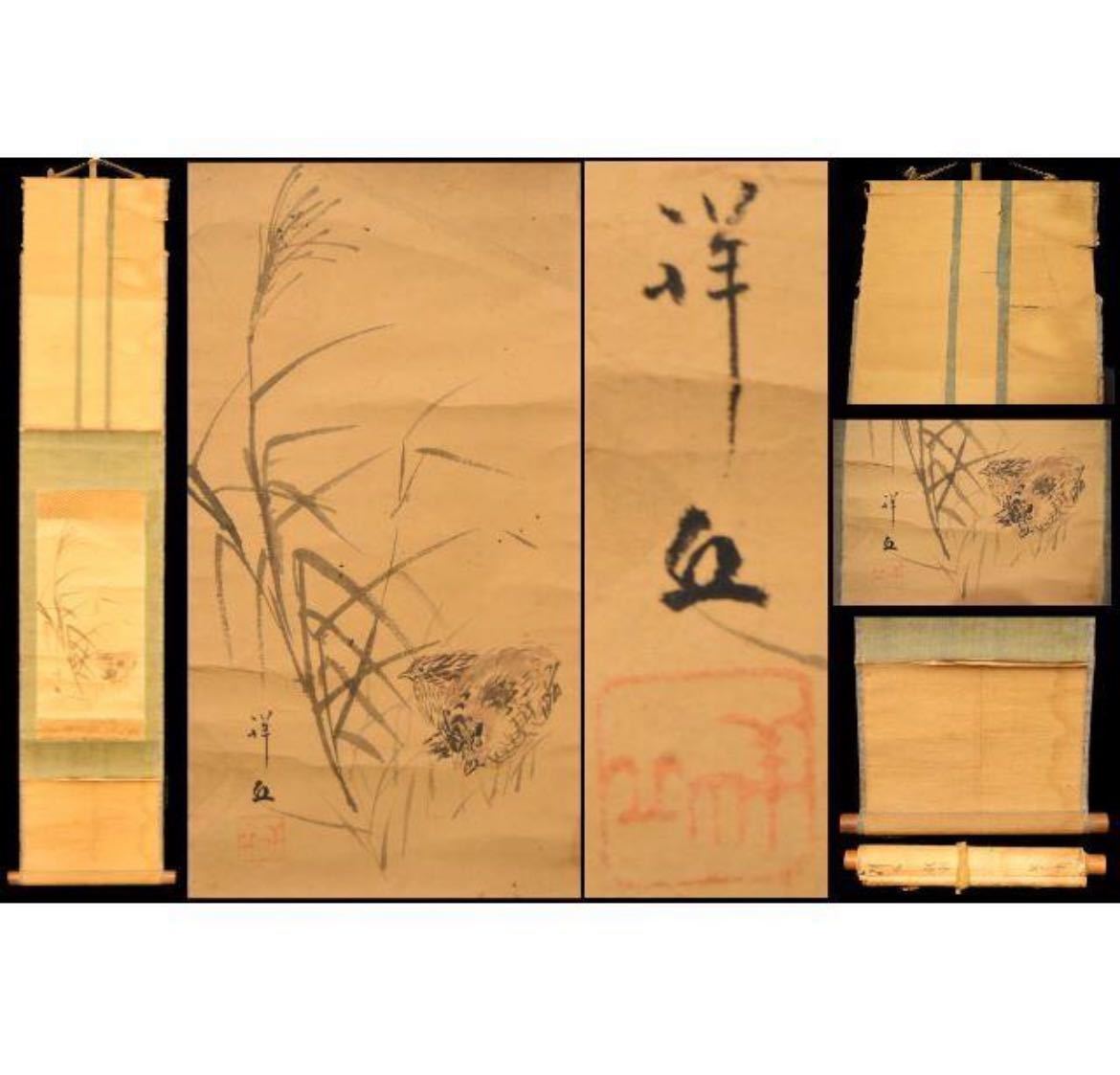 中画家まくり　肉筆保証　本物保証 人気SALE，本物保証】 鶉 秋 手巻き画絵巻 日本画軸 紙本 立軸