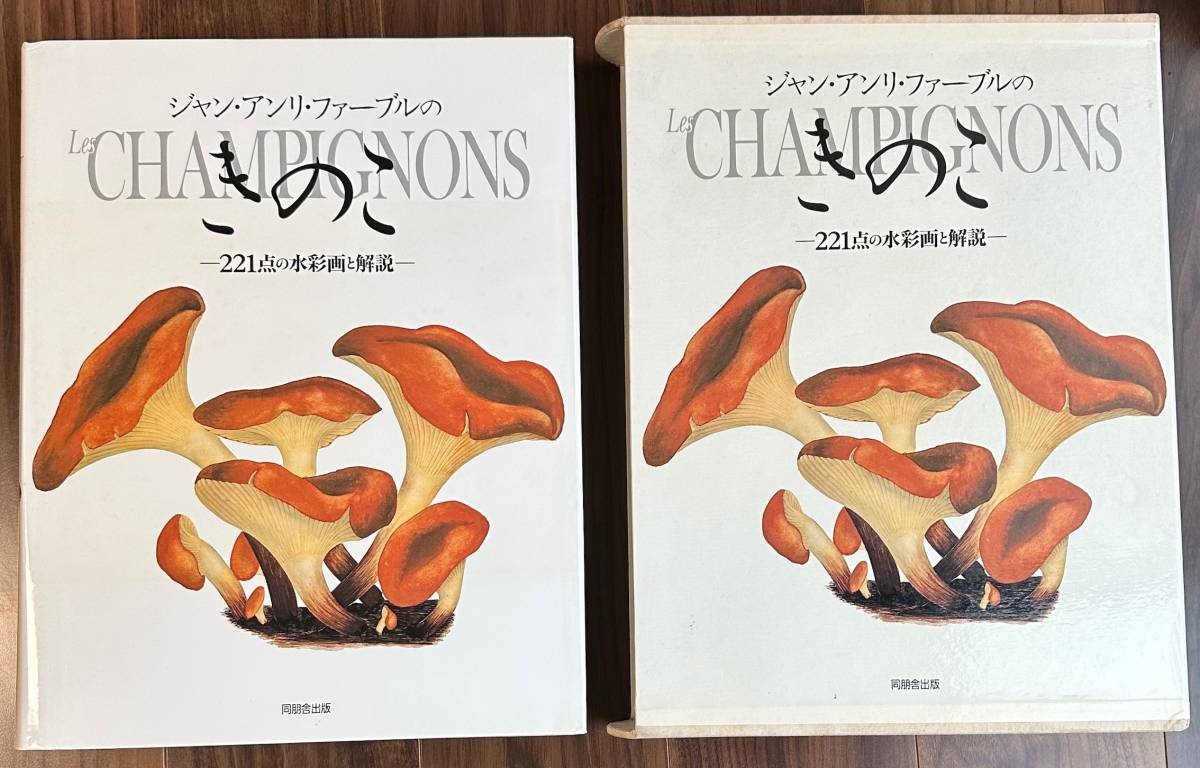 ジャン・アンリ・ファーブルのきのこ 221点の水彩画と解説 | nostos