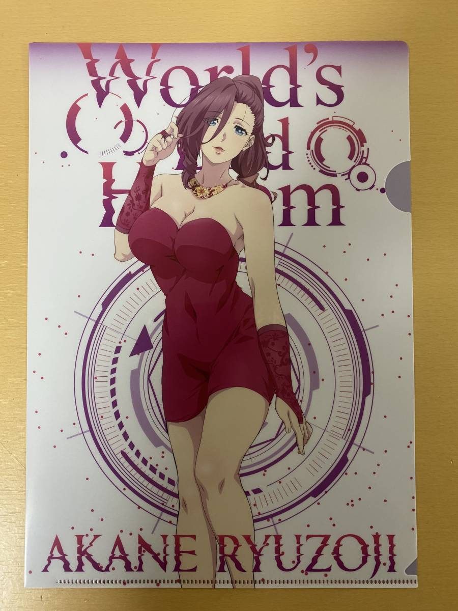 未開封品 終末のハーレム × ドン・キホーテ 書き下ろし クリアファイル 