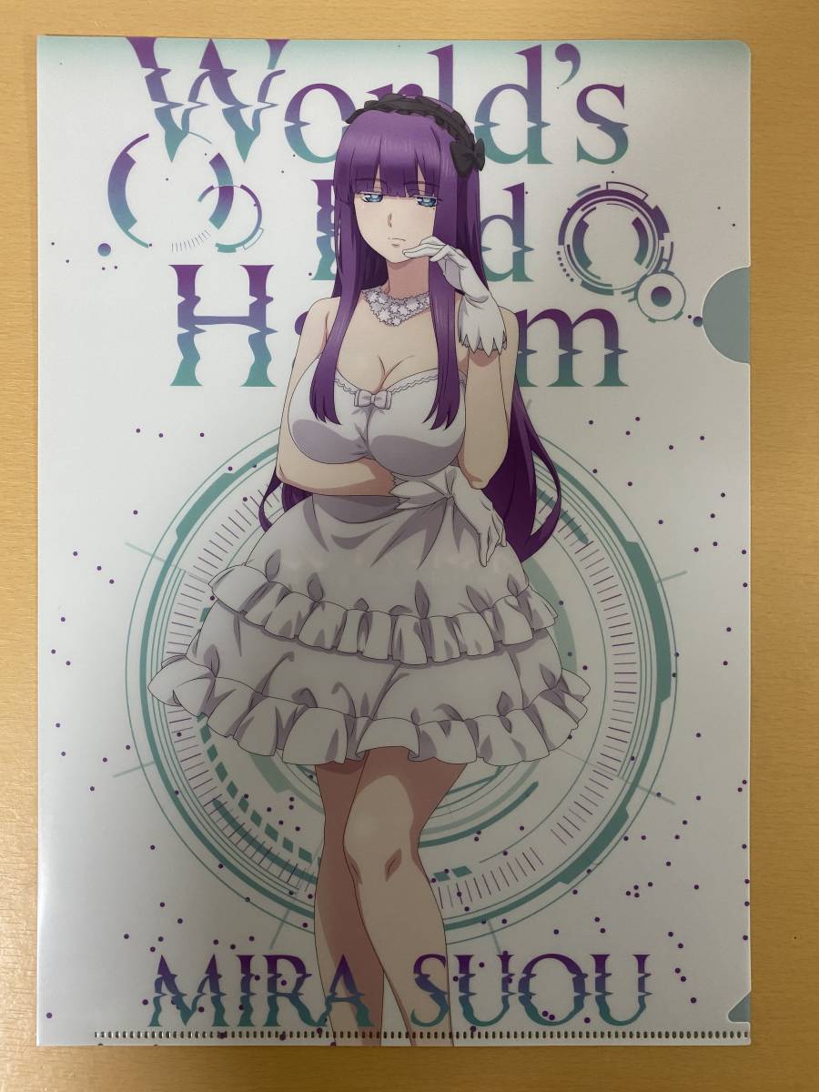 未開封品 終末のハーレム × ドン・キホーテ 書き下ろし クリアファイル 