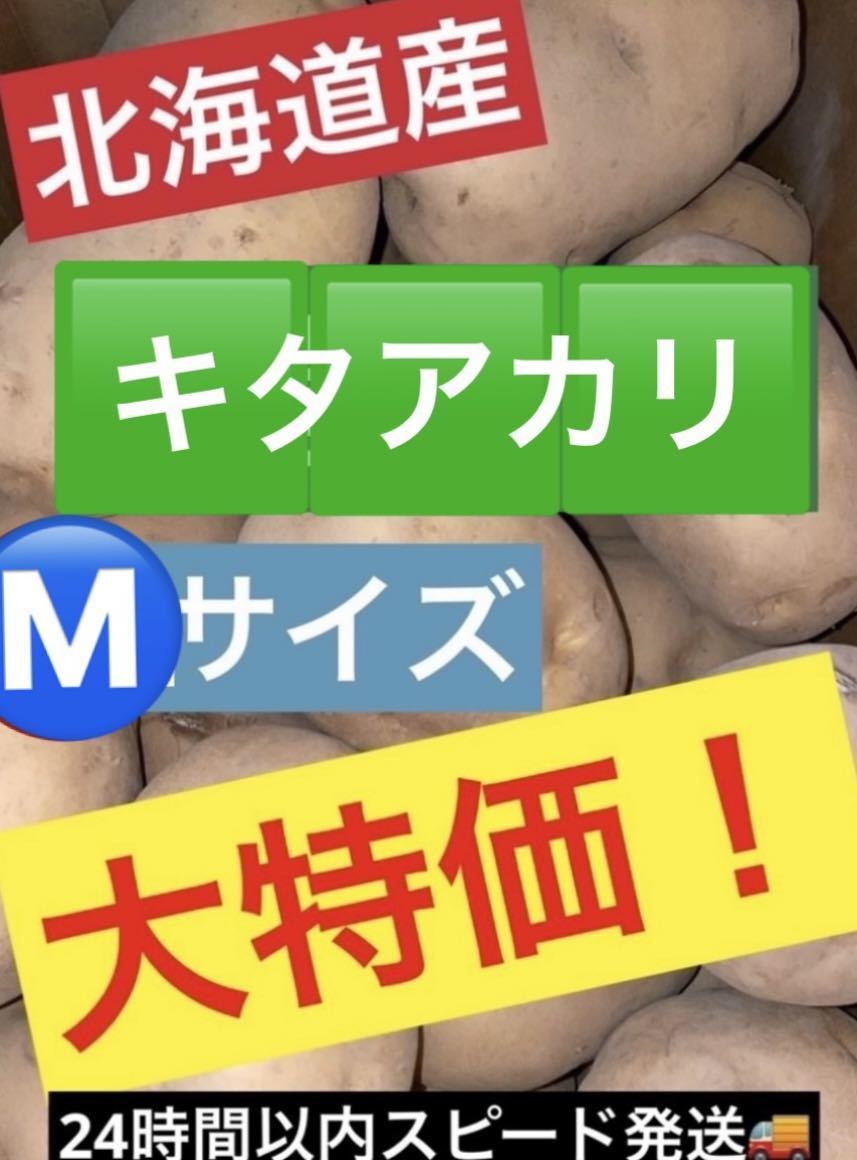 【超お買い得品】北海道 JA 羊蹄 じゃがいも キタアカリ サイズM 約23kg