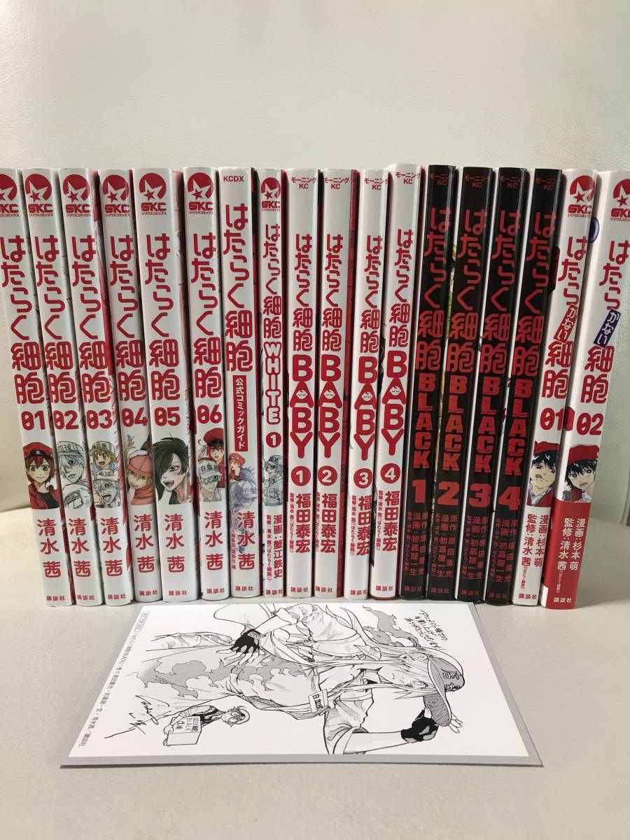 はたらく細胞1 〜6 はたらかない細胞1〜4 新品 / はたらかない