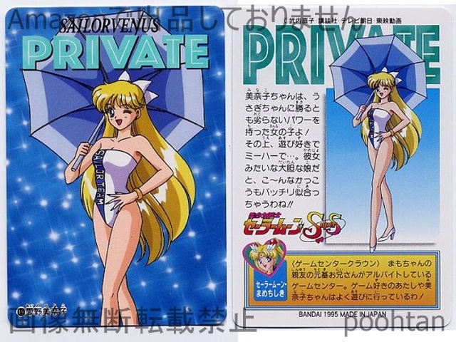 カードダス セーラーチームコレクション セーラームーンSS 19 愛野