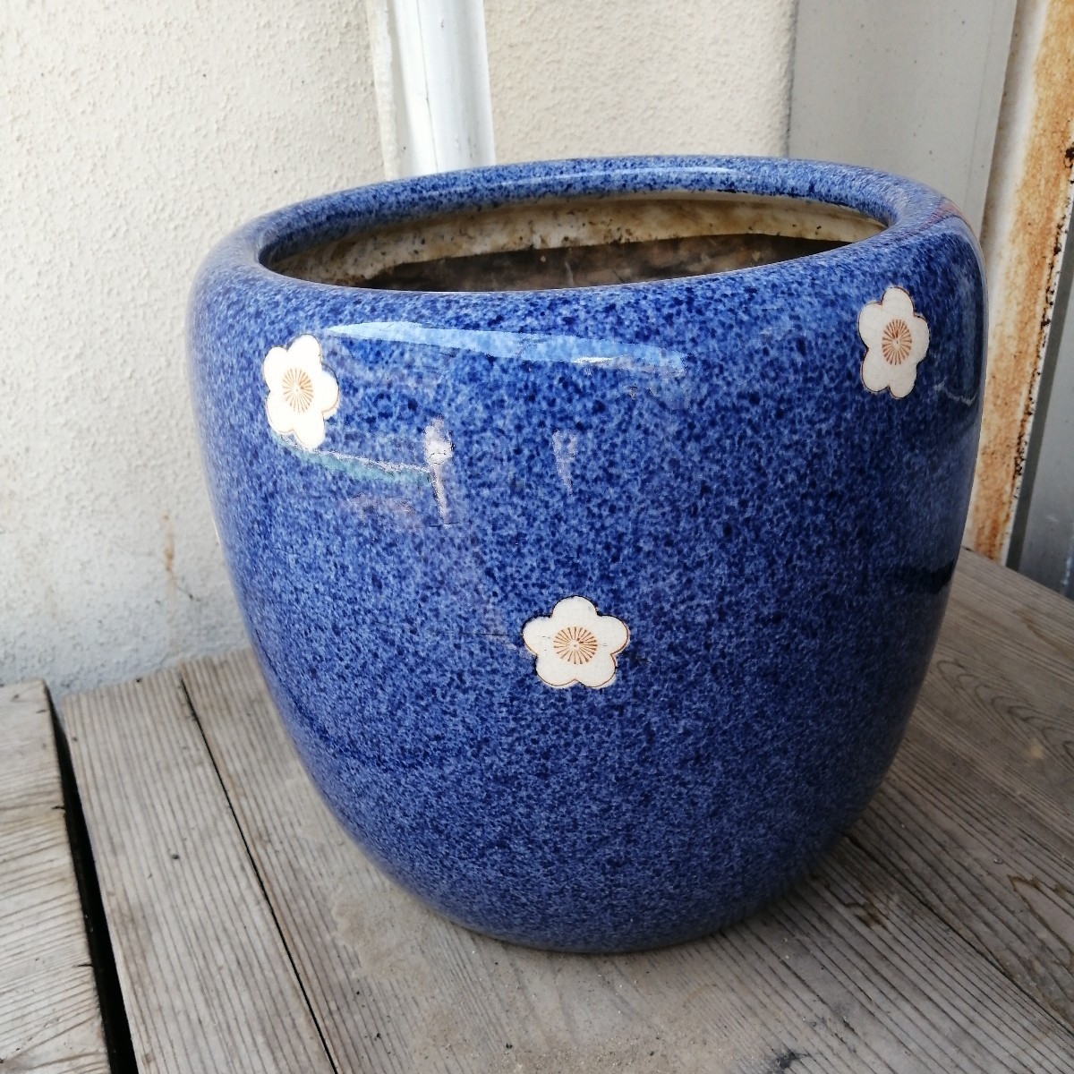 火鉢 梅 メダカ 金魚 睡蓮鉢 骨董 アンティーク 火鉢 骨董 睡蓮鉢
