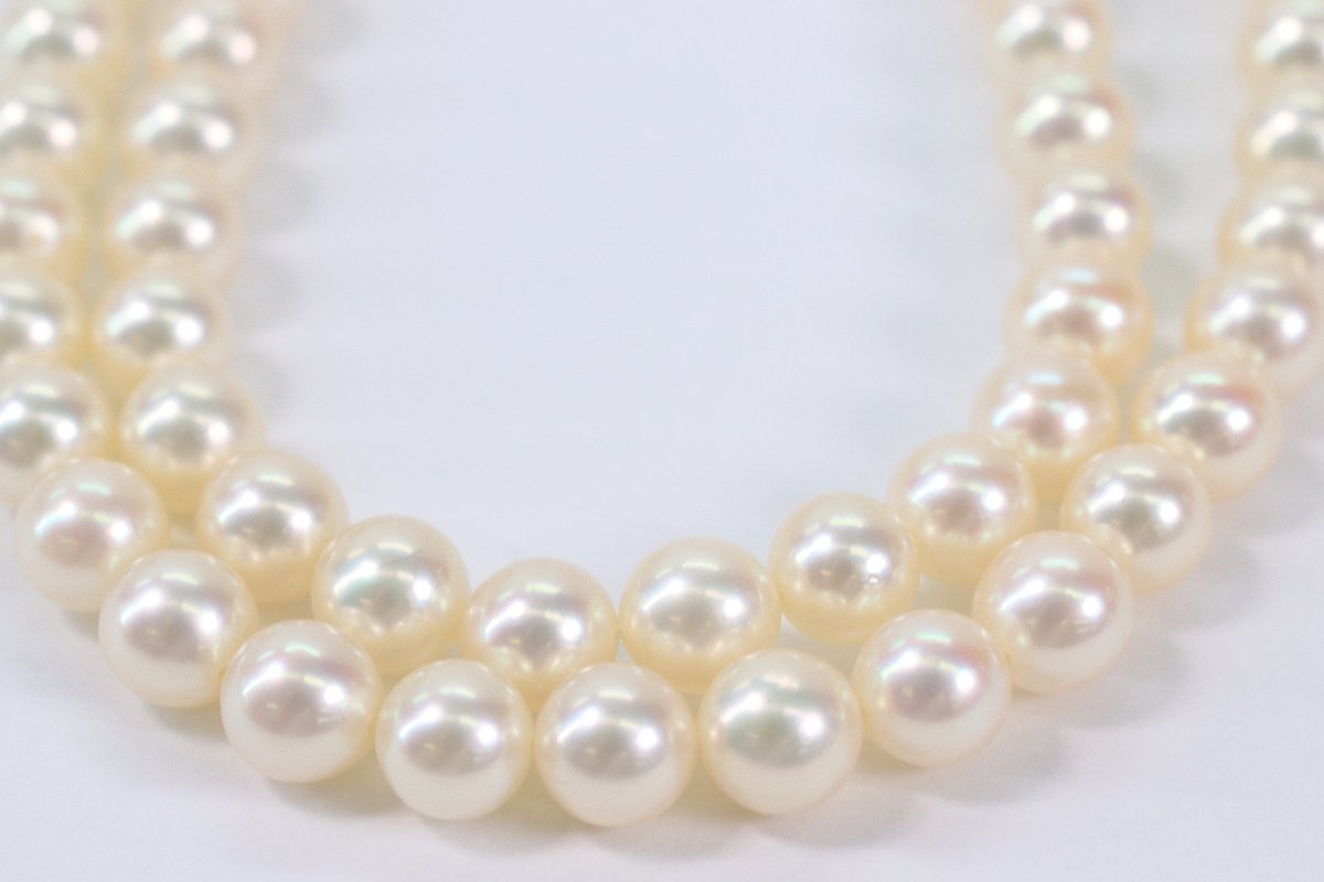 【本日限り価格】MIKIMOTO ミキモトパールネックレス5mm M SIL刻印 MIKIMOTO ミキモト パール 真珠 シルバー M刻印 SIL刻印 約5mm