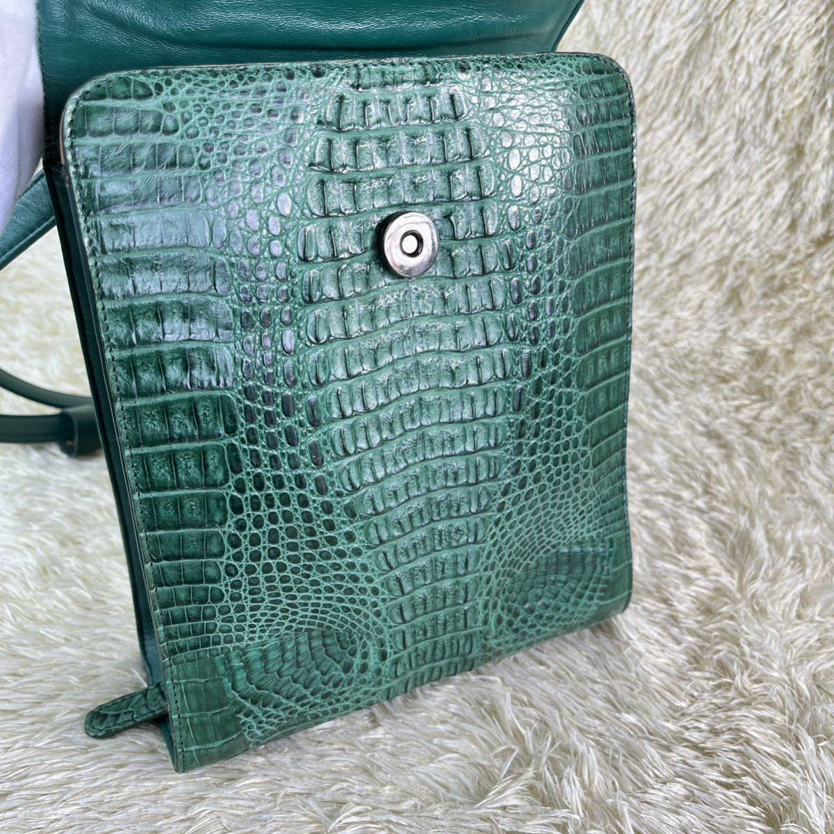 ♥︎希少色、極美品、本鰐皮、クロコダイルハンドバッグ 着こ