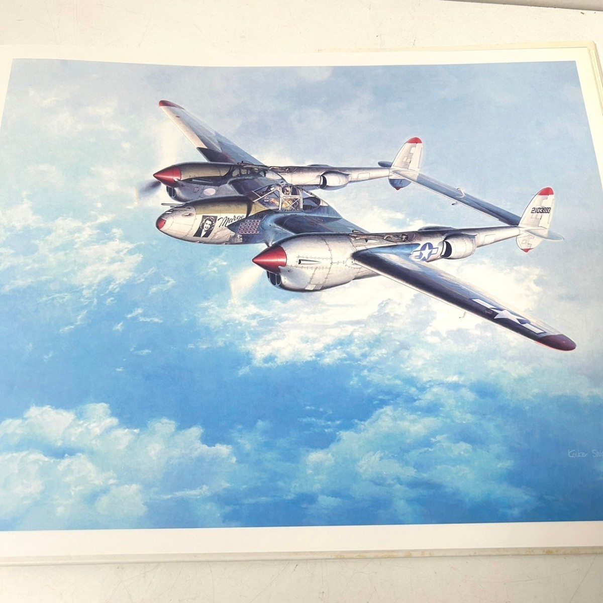 FLYOVER フライオーバー 小池繁夫 航空イラストレーション作品集