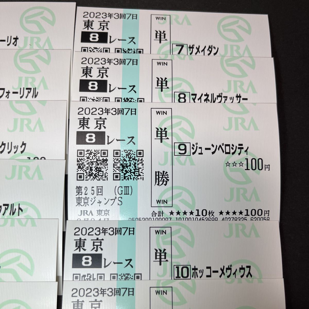 東京ジャンプステークス 全出走馬 現地 単勝馬券 ジューンベロシティ