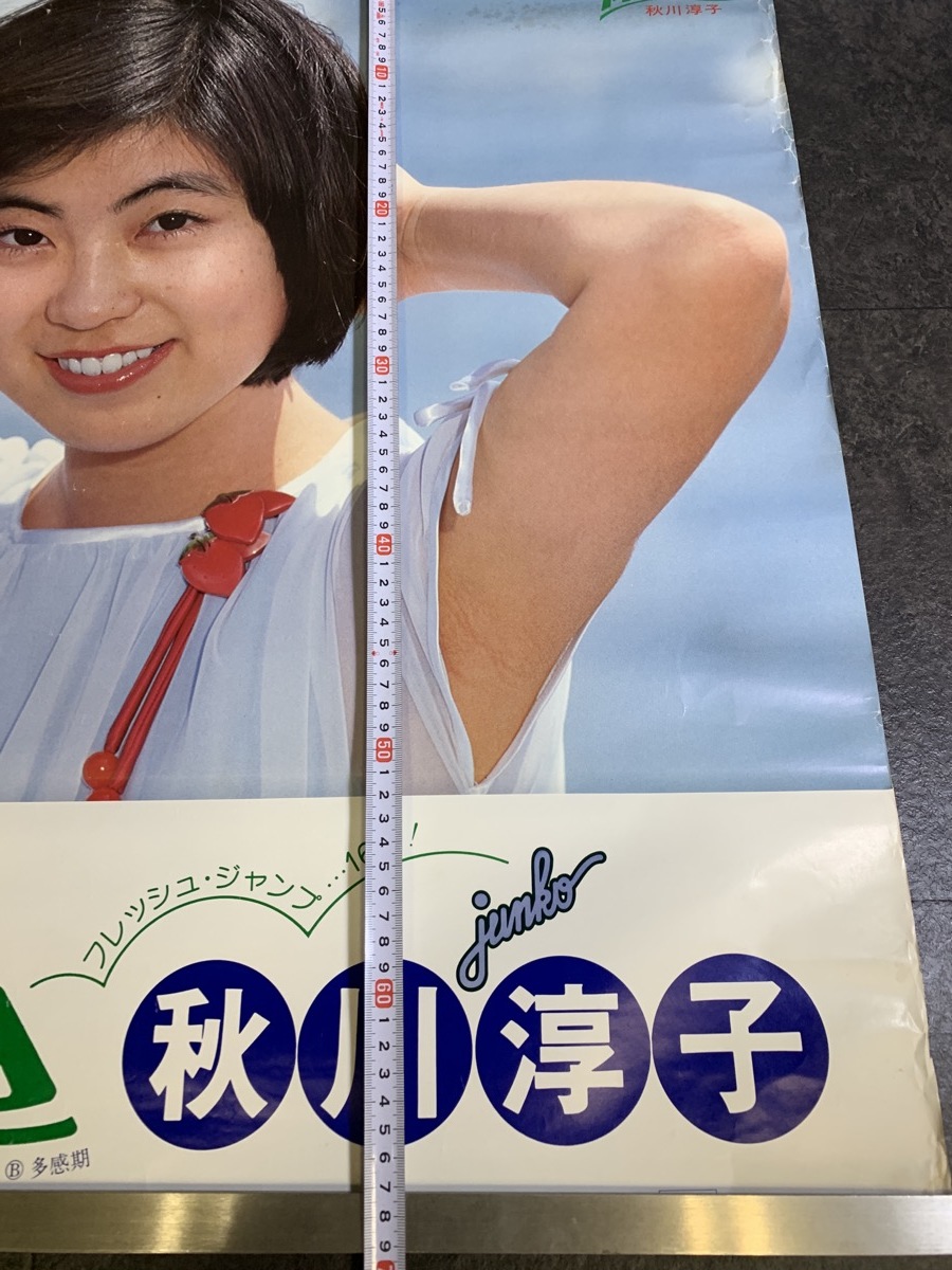 秋川淳子 南南西 レトロポスター テイチクレコードポスター