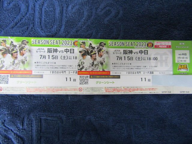 甲子園 2枚連番 阪神対中日 ）甲子園球場 vs 中日 バック 阪神vs中日 