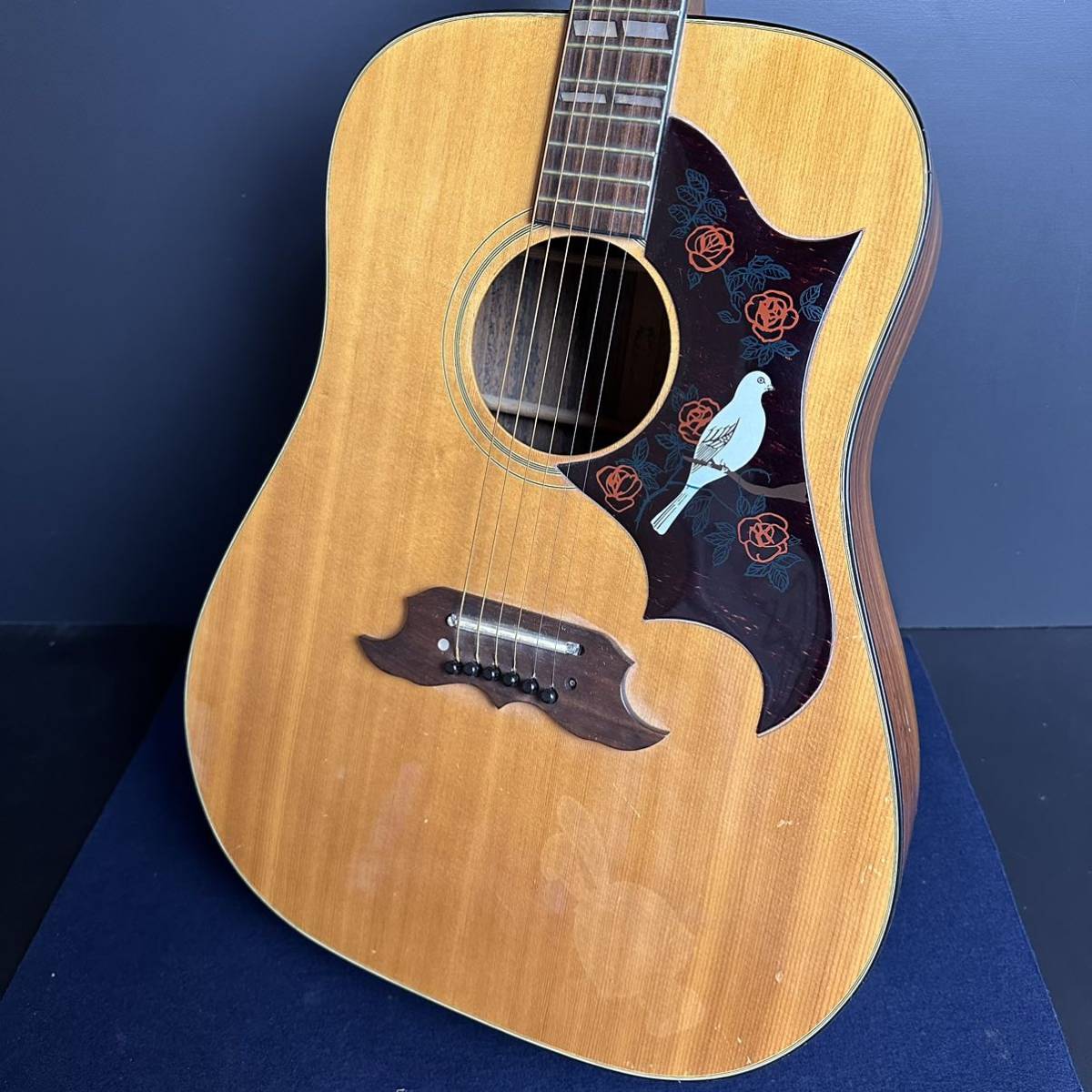 SA500] Pearl パール Dove model ダヴ アコースティックギター ハード 