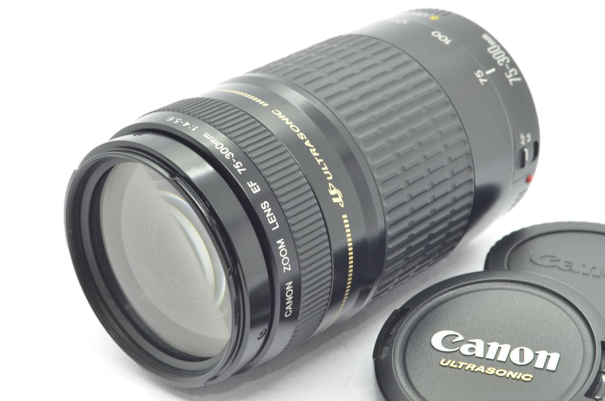 ✨外観美品✨ キャノン EF 75-300mm F4-5.6 IS USM 外観並級】Canon EF 75-300mm F4-5.6 キャノン #t5084 EF 75-300mm F4-5.6