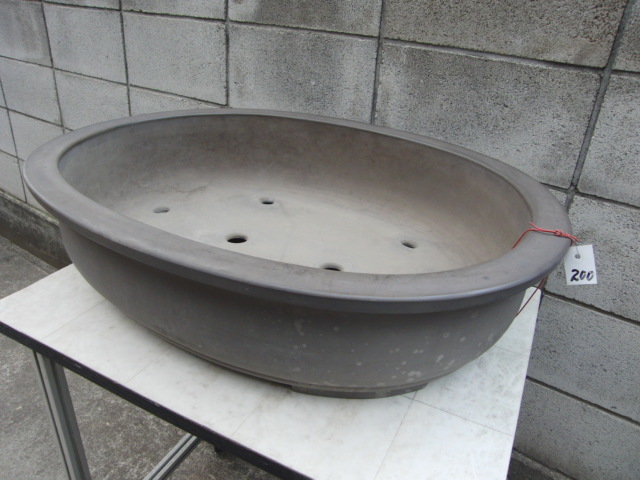 ♯200 鉢 板山 特注 盆器 盆栽 植木 松柏 皐月 真柏 楓 【公式通販】