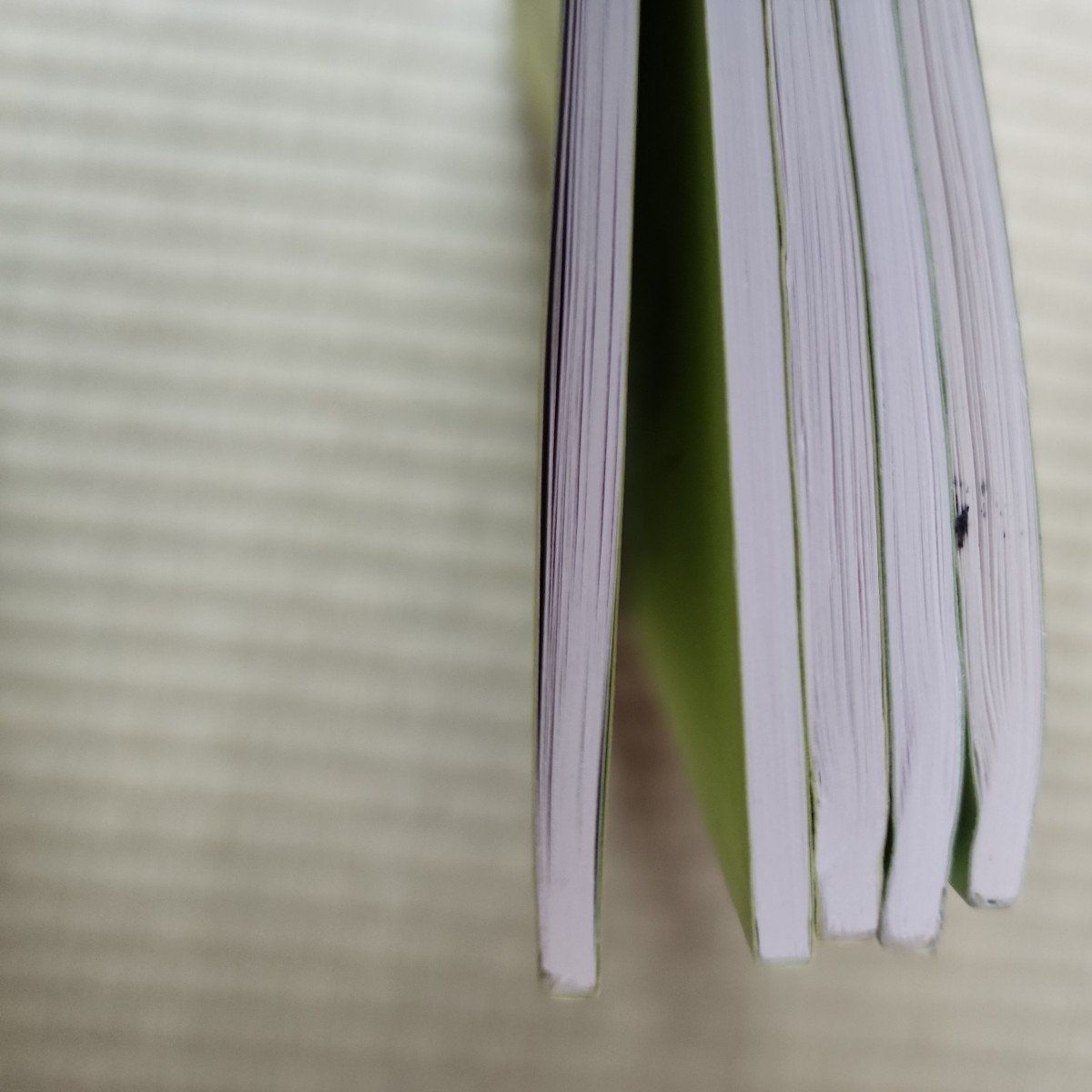 未記入 ひとりでとっくん こぐま会 小学校受験 知育ワーク 48 53 54 74