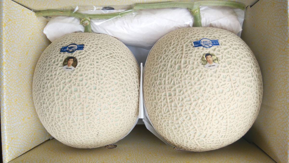 【高知県産】 温室メロン　超大玉　 2玉 　約5kｇ贈答用