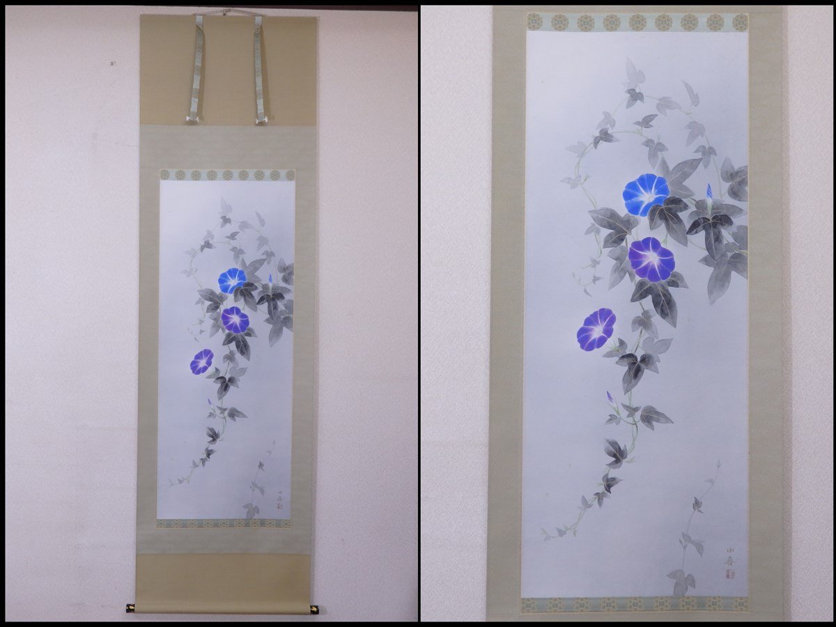 水越由喜 肉筆 掛軸 朝顔 共箱 紙本 幅58.5×全長195.3cm 画44.3×111.5
