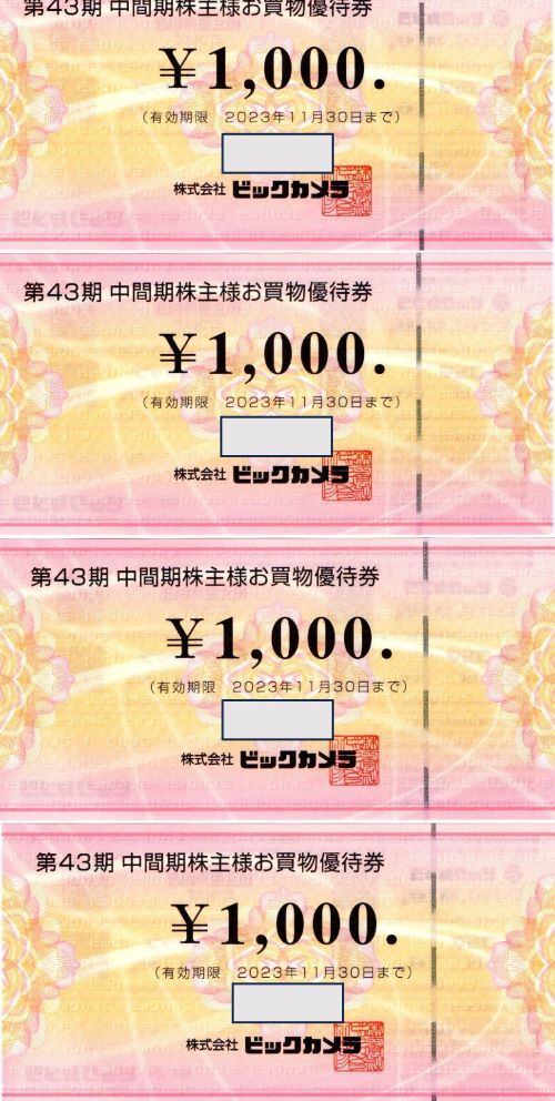 ビックカメラ 株主優待券 4000円分 【公式通販】