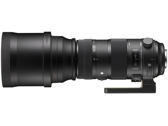 SIGMA 150-600mm キャノン EF マウント 楽天市場】【カメラレンズ レンタル】SIGMA 150-600mm F5-6.3 DG OS