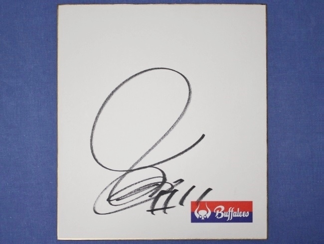 希少 野茂英雄 直筆サイン 近鉄バッファローズ公式公認色紙 野茂英雄