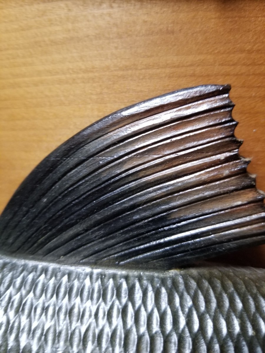 レトロ 木彫レリーフ 壁掛け 鮭 カムイチェップ 北海道 アイヌ彫 木彫