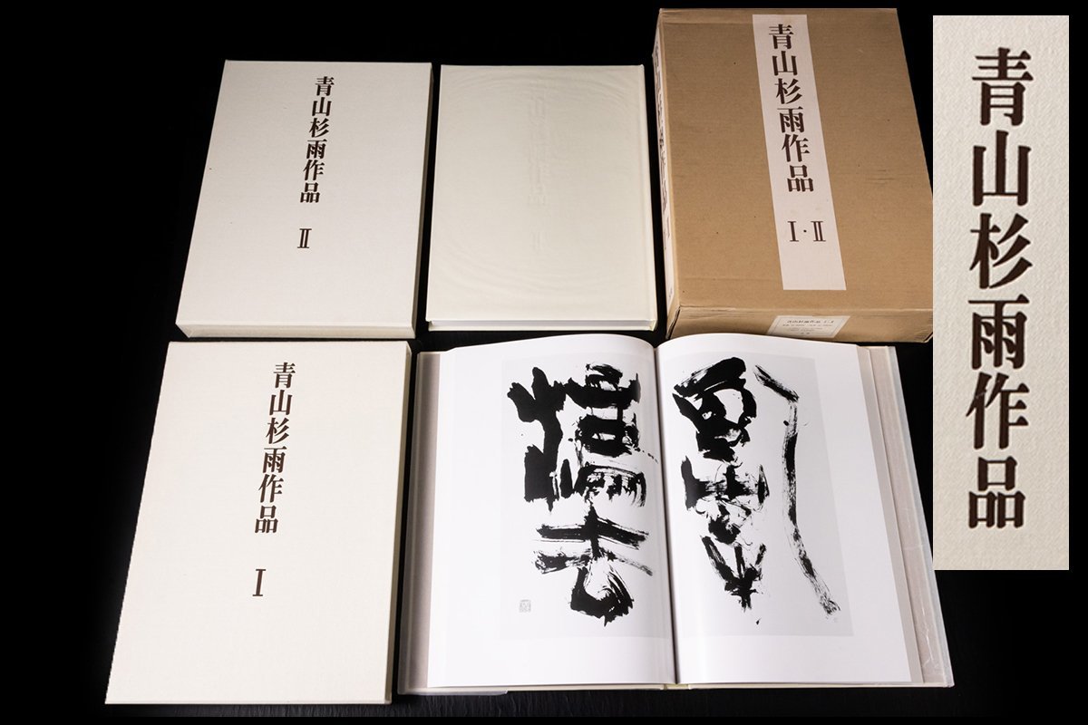 ◆天香楼◆青山杉雨作品Ⅰ・Ⅱ 二玄社 1994年発行 定価33，000円　経年時代物 AG6482